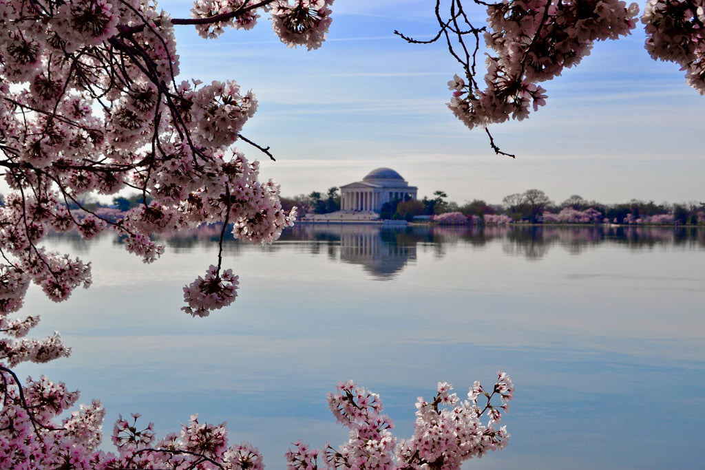Flower Delivery In Washington, District Of Columbia?
