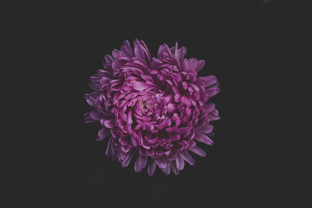 What are the best florists in or near Ft Richardson, Alaska?