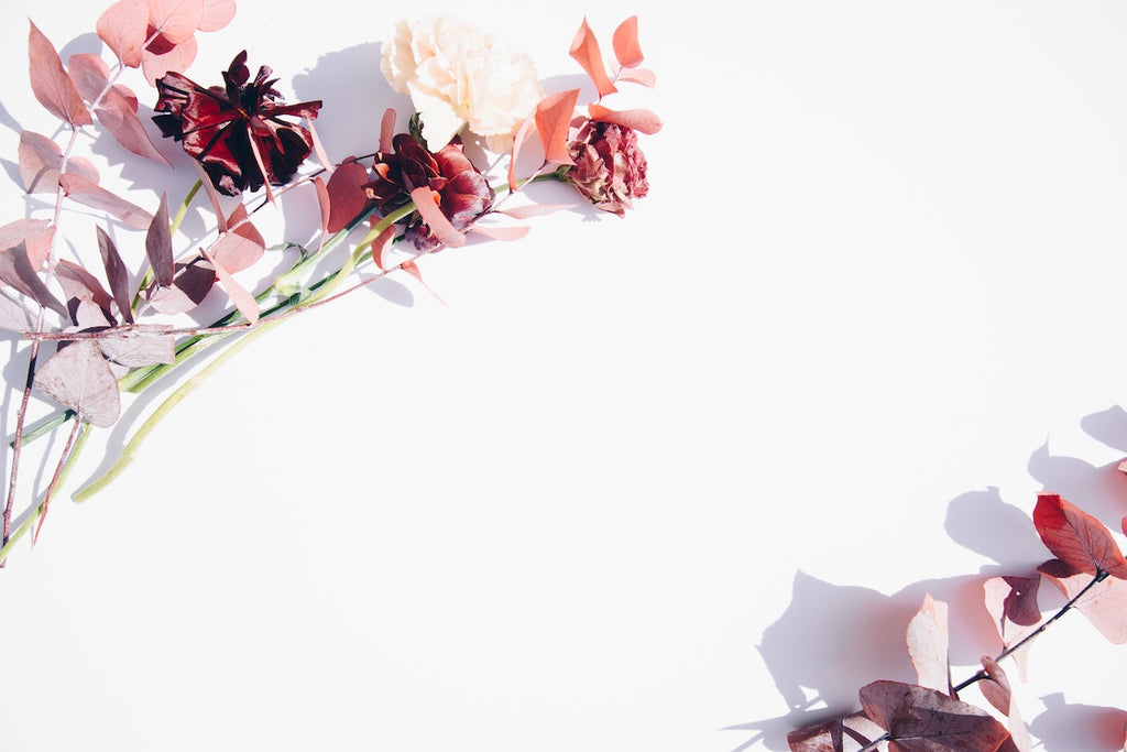 What are the best florists in or near Alameda, California?