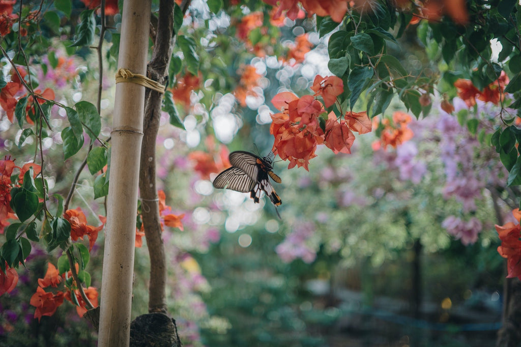 What are the best florists in or near Glenwood Springs, Colorado?