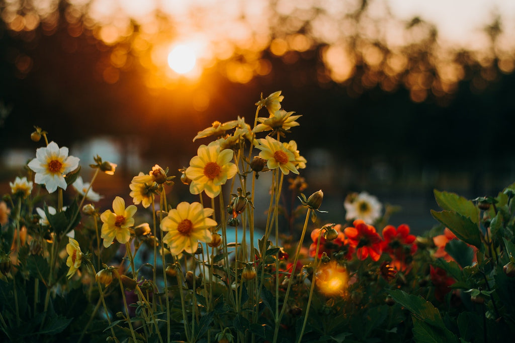 What are the best florists in or near Kunia, Hawaii?
