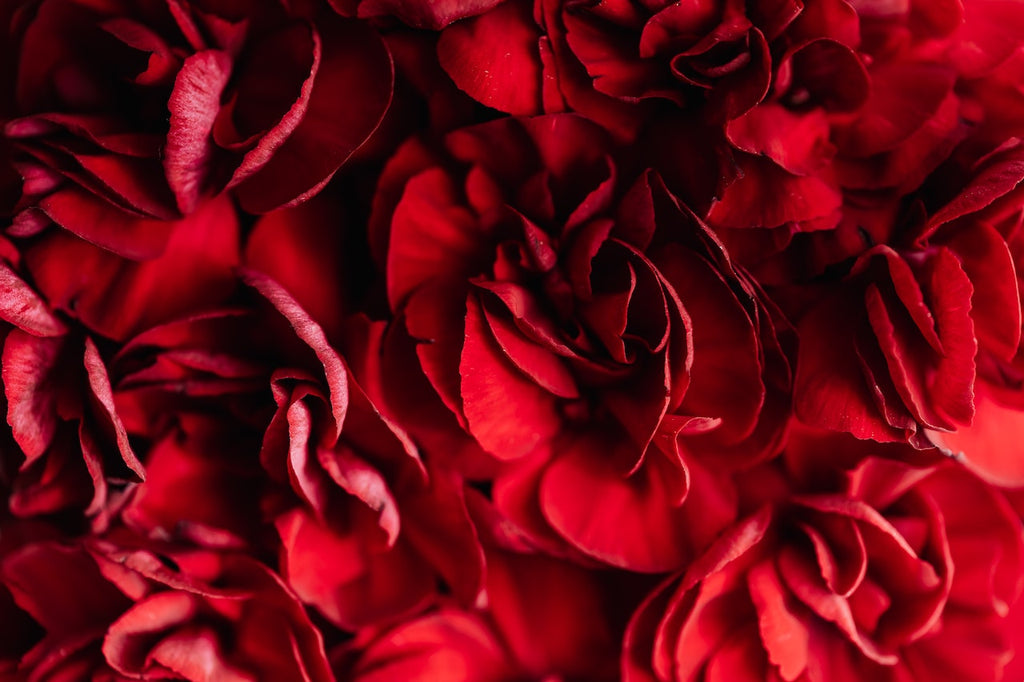 What are the best florists in or near Alna, Maine?