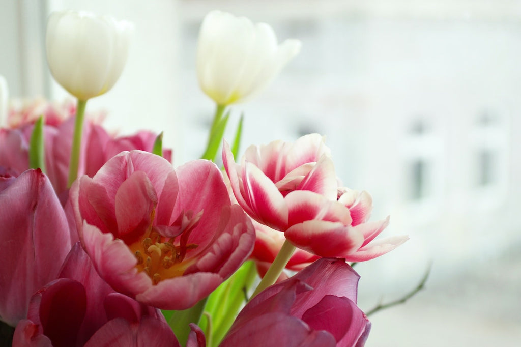 What are the best florists in or near Acworth, New Hampshire?