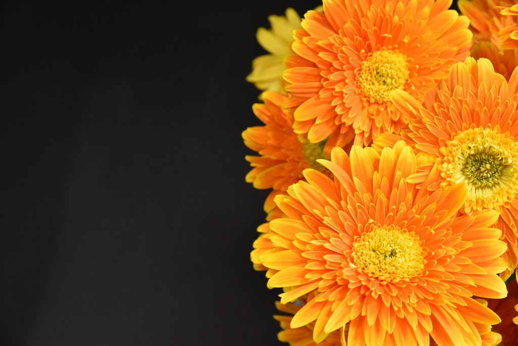 What are the best florists in or near Ramah Community, New Mexico?
