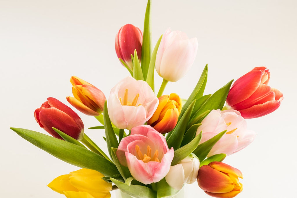 What are the best florists in or near Albion, New York?