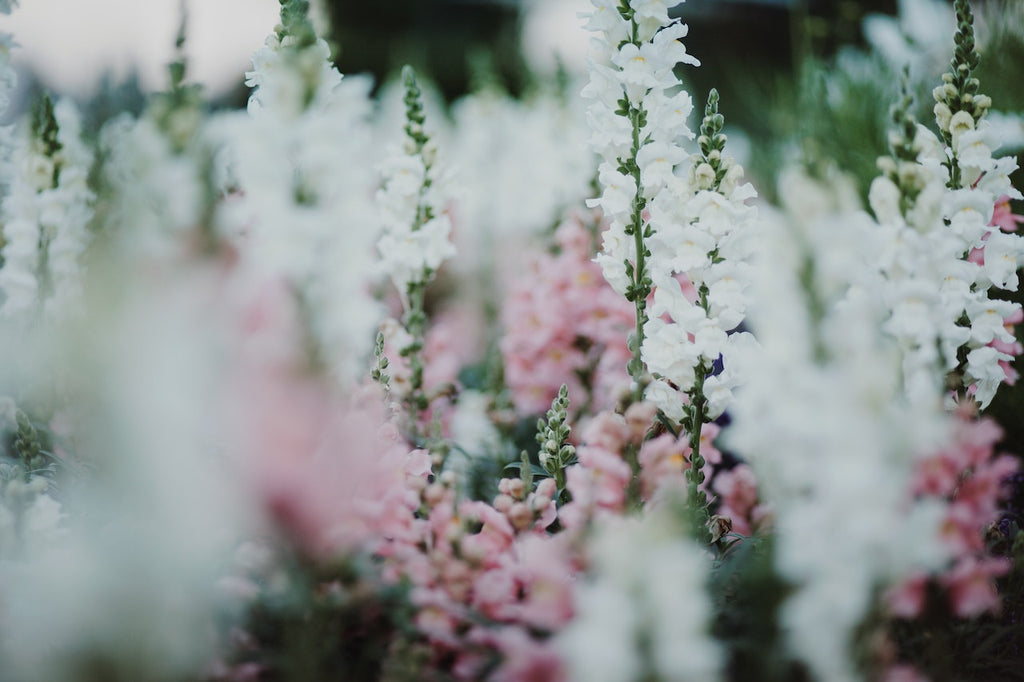 What are the best florists in or near Mckenzie, North Dakota?