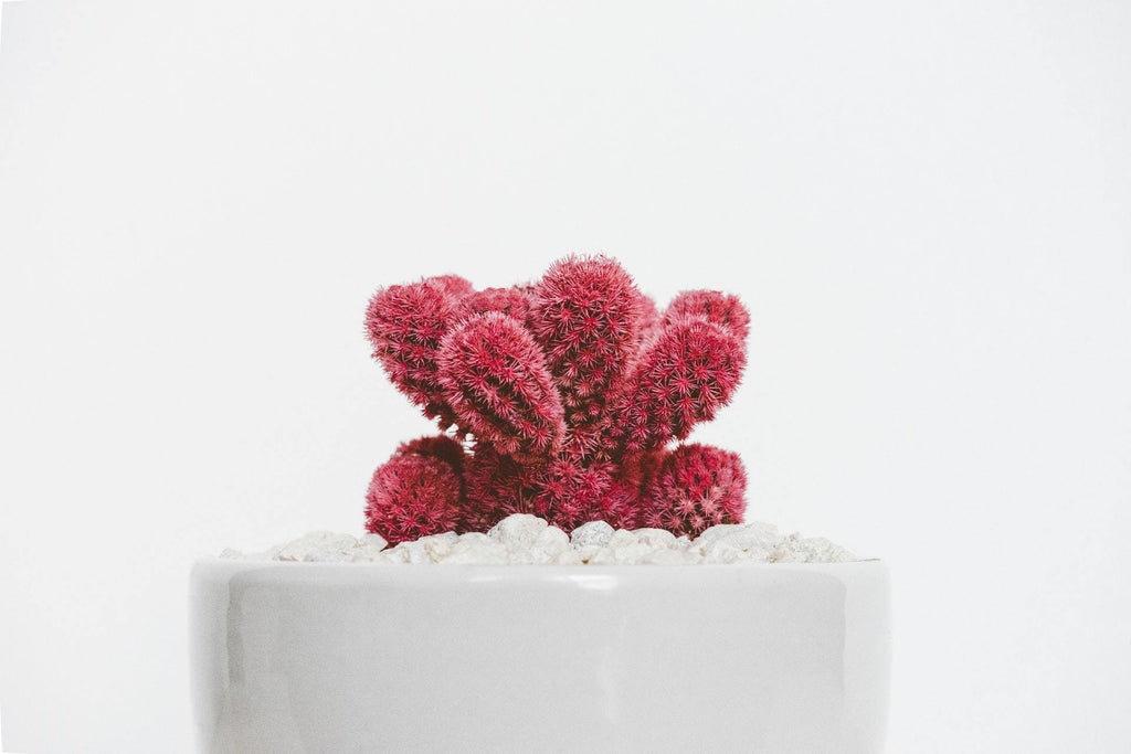 What are the best florists in or near Troy, New York? 