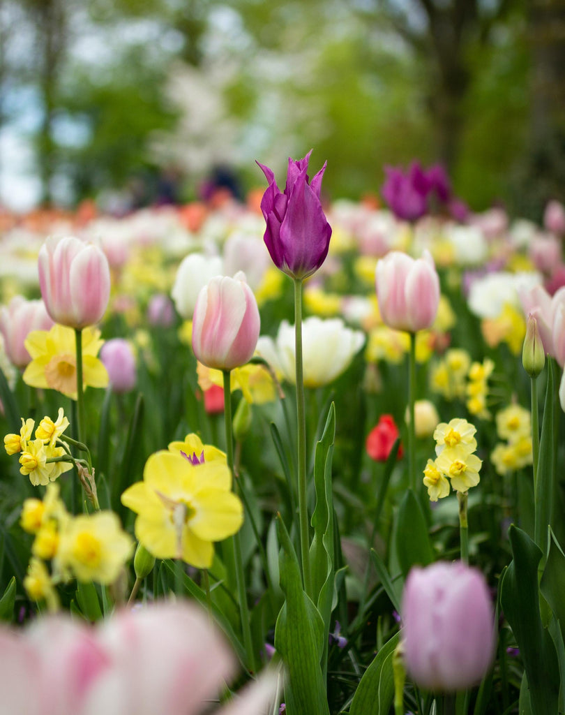What are the best florists in or near West Jordan, Utah? 