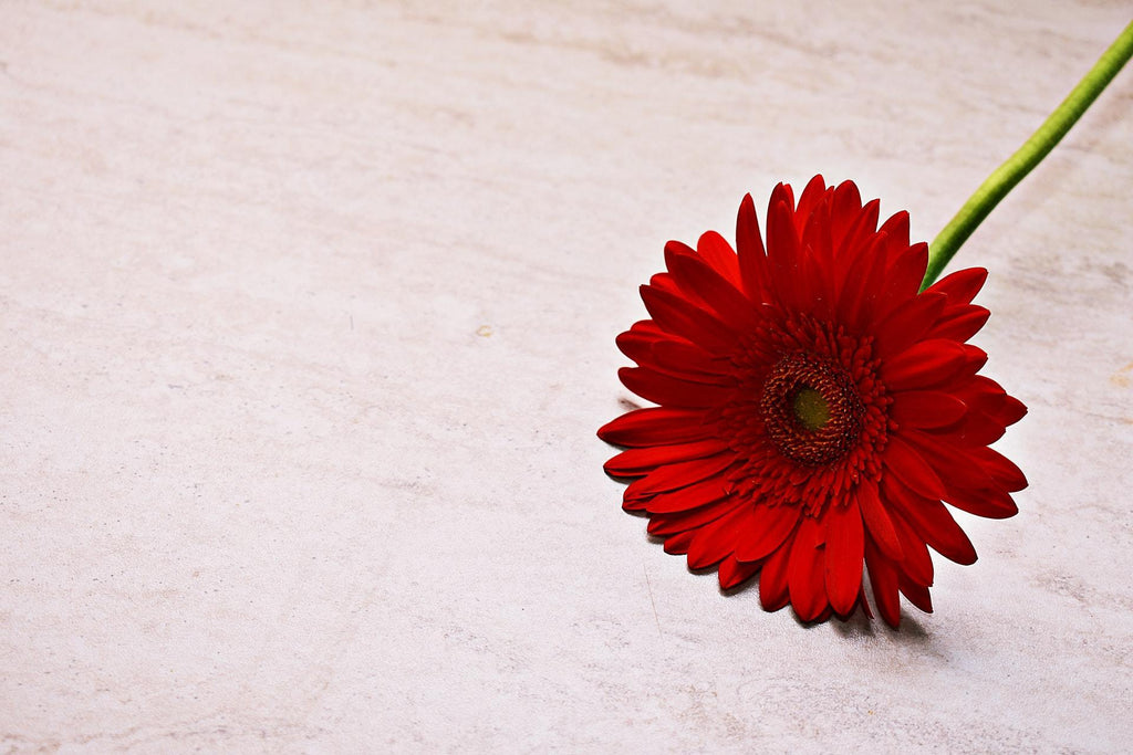 What are the best florists in or near Akiak, Alaska? 