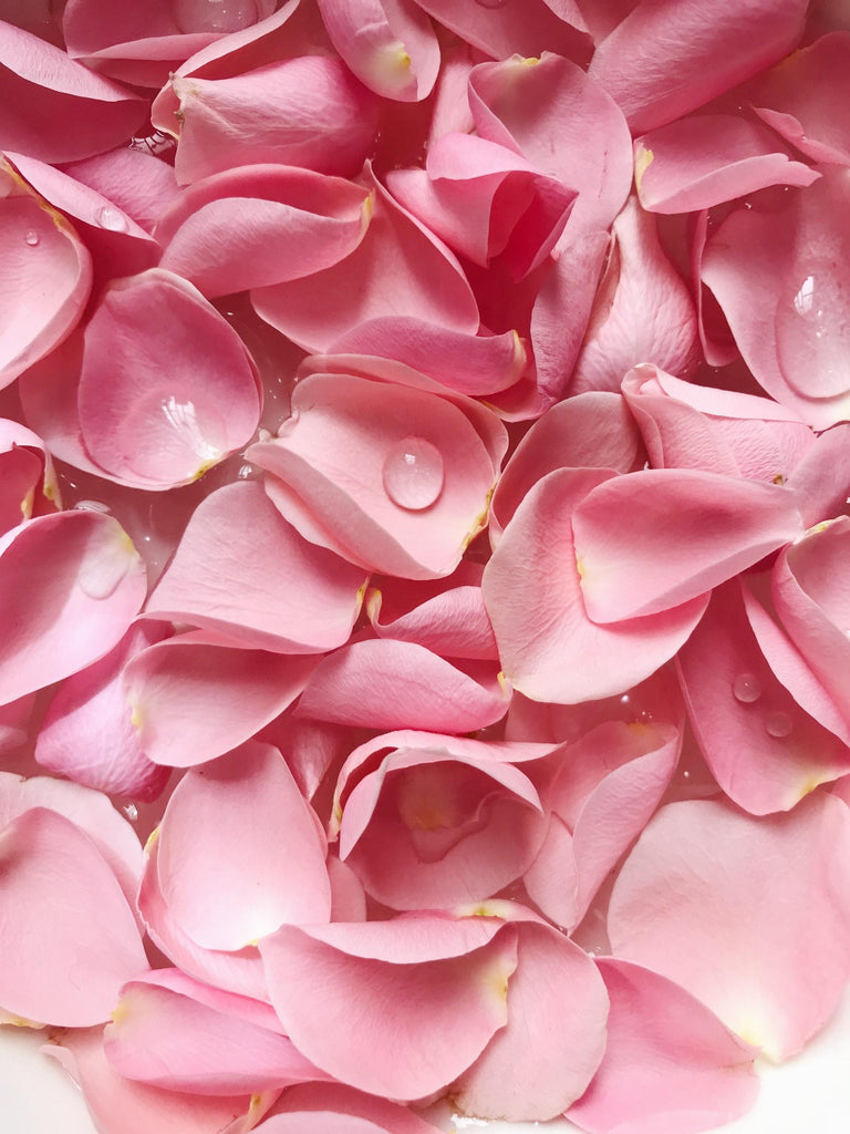 What are the best florists in or near Utica, New York? 