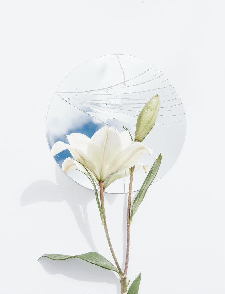 What are the best florists in or near Akron, Iowa? 