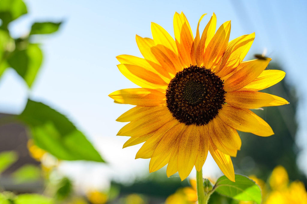 What are the best florists in or near Akutan, Alaska? 