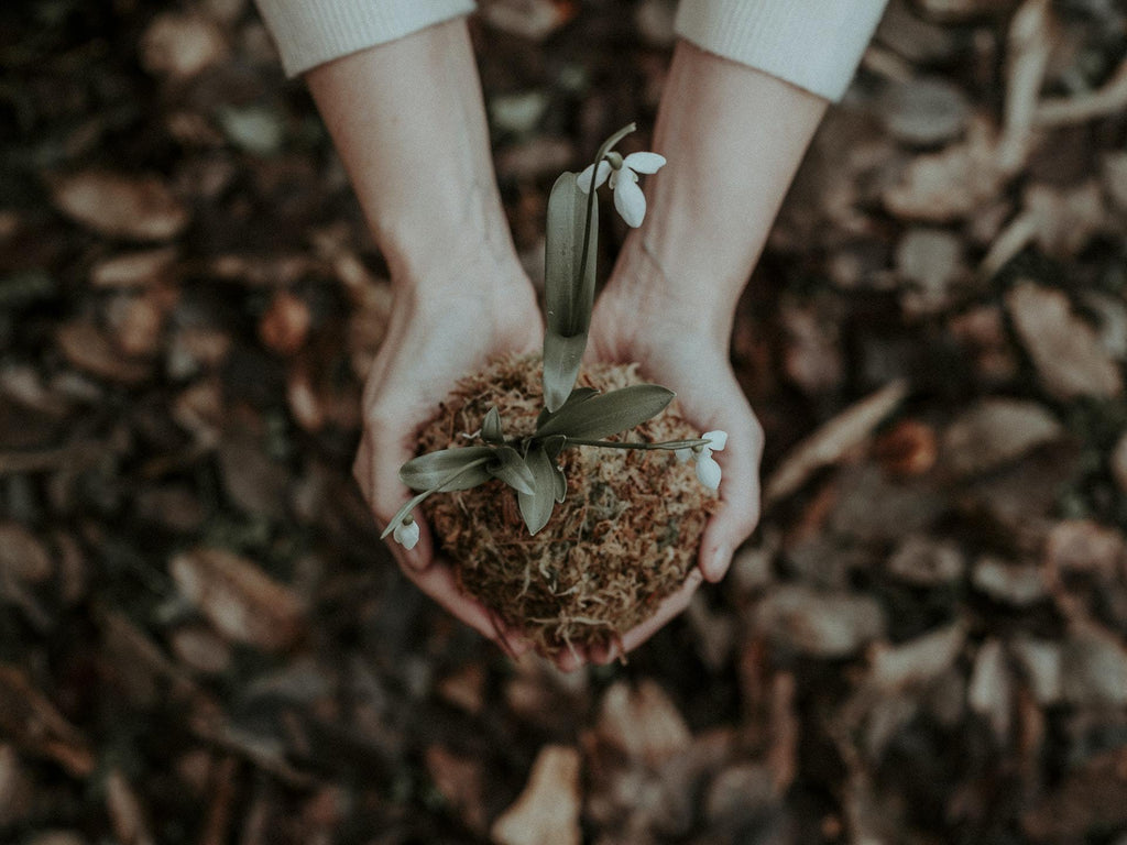 What are the best florists in or near Almond, New York? 