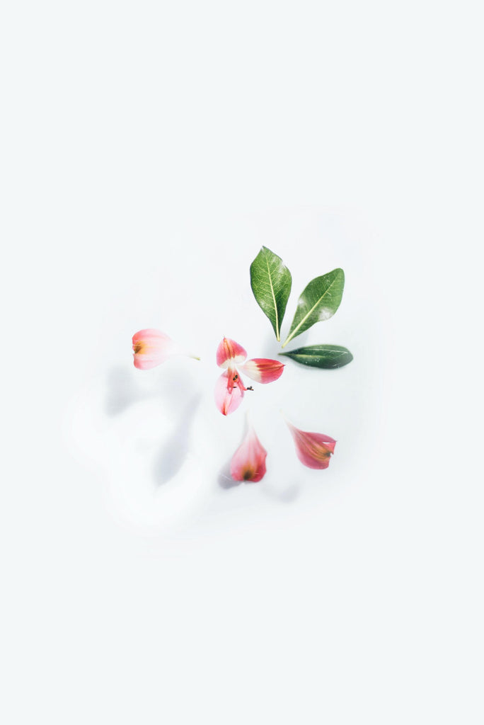 What are the best florists in or near Davenport, Iowa? 