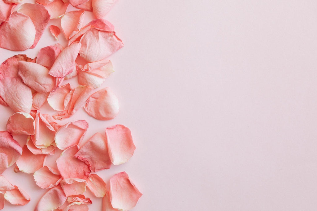 What are the best florists in or near Livonia, Michigan? 