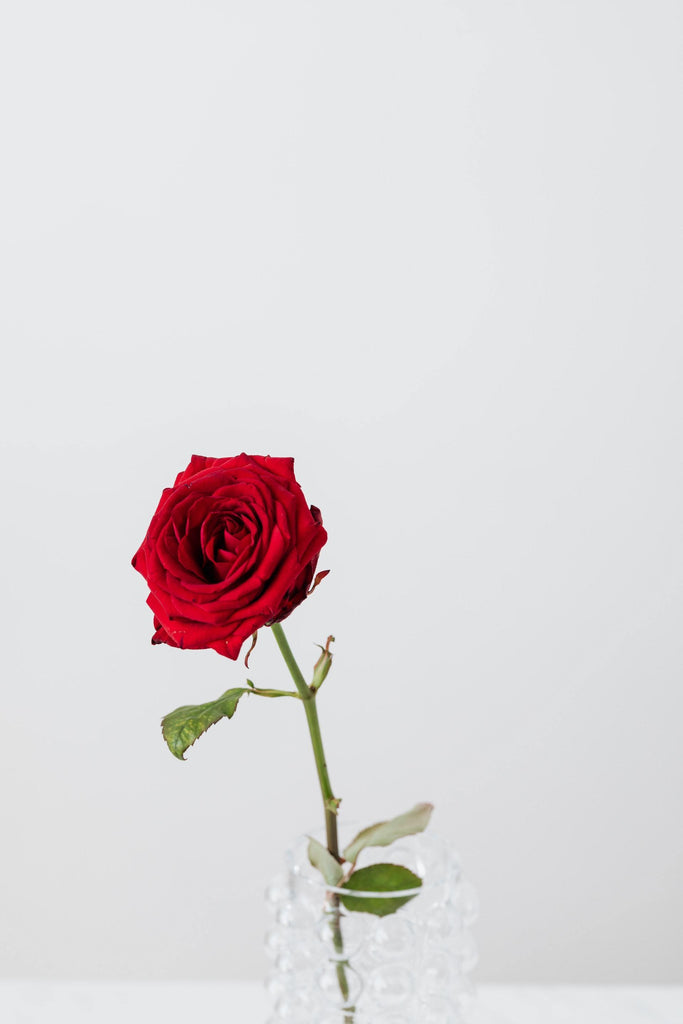 What are the best florists in or near Franklin, Tennessee? 