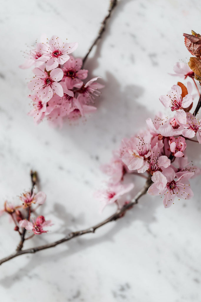 What are the best florists in or near Huntington Park, California? 