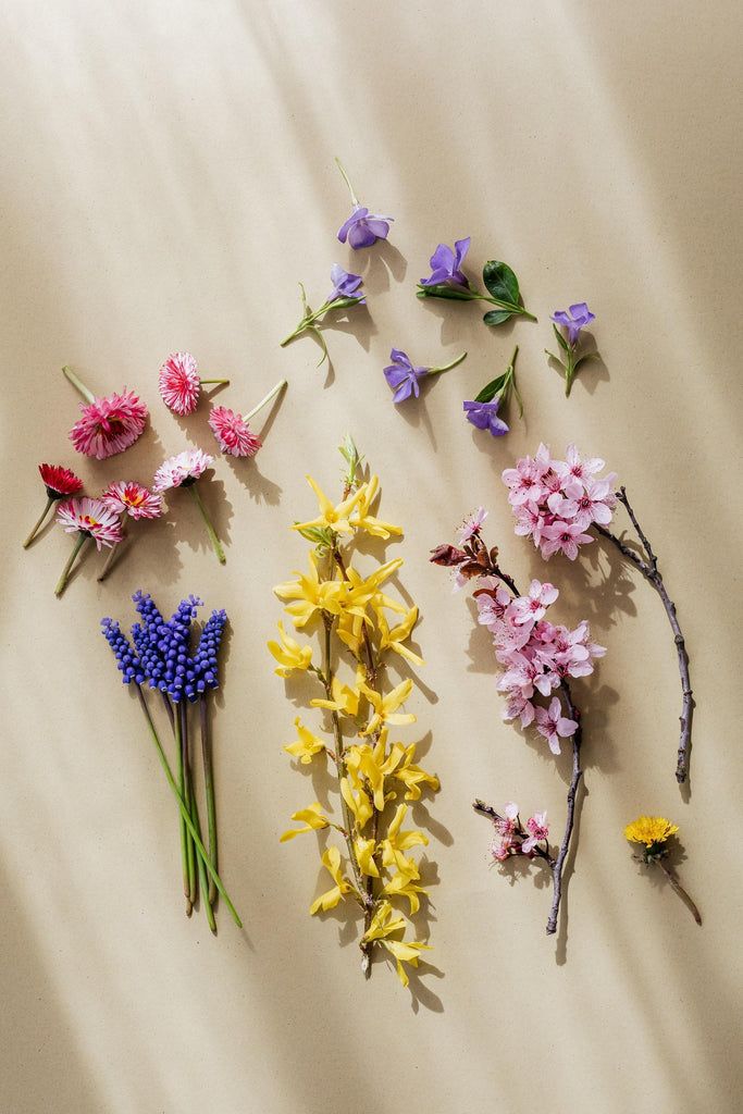 What are the best florists in or near Alamo, Indiana? 