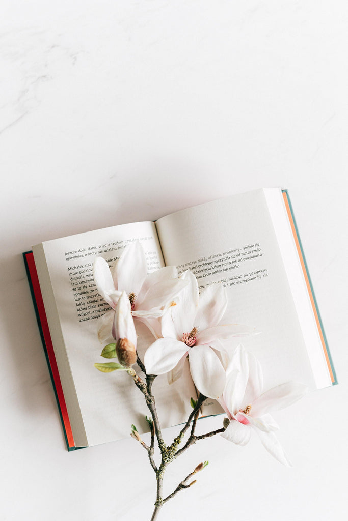 What are the best florists in or near Allison, Iowa? 