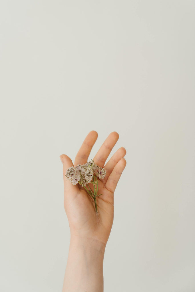 What are the best florists in or near Alpha, Michigan? 