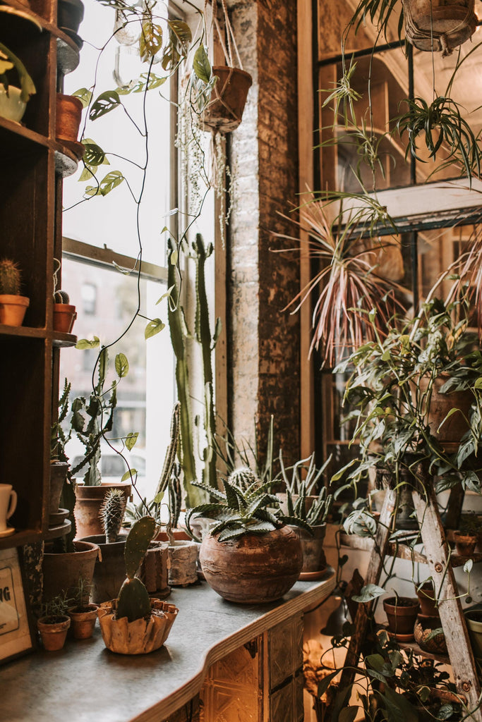 What are the best florists in or near Santa Clara, California? 