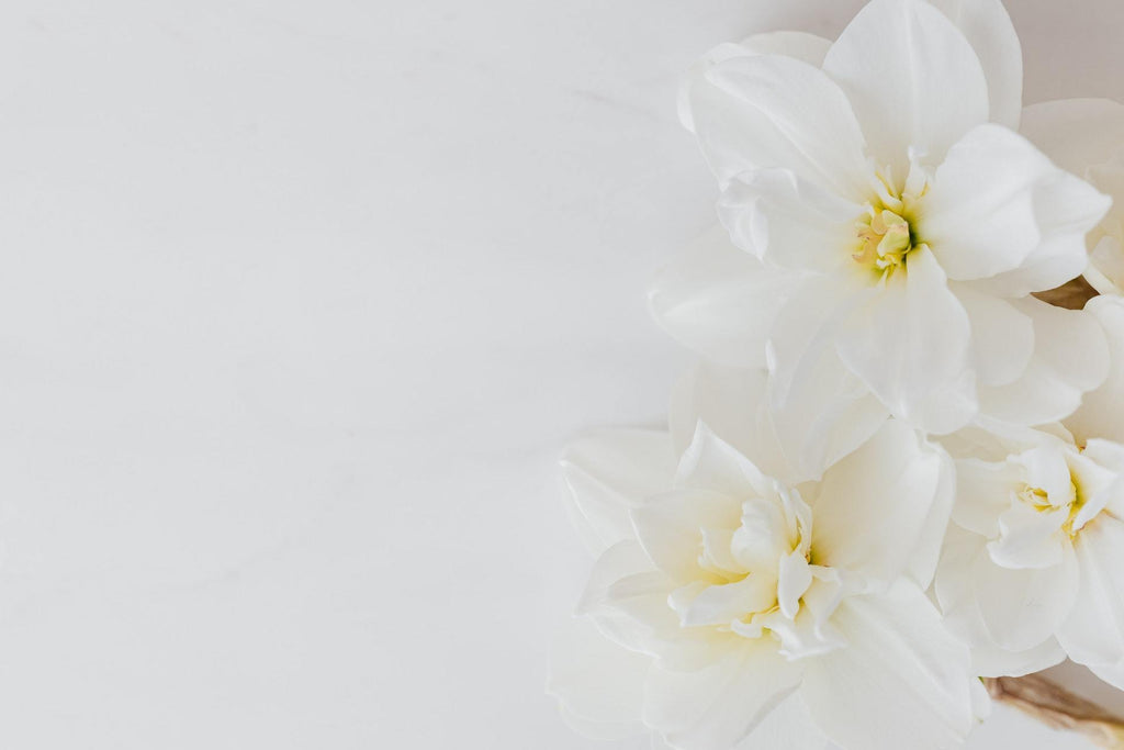 What are the best florists in or near Starkweather, North Dakota? 