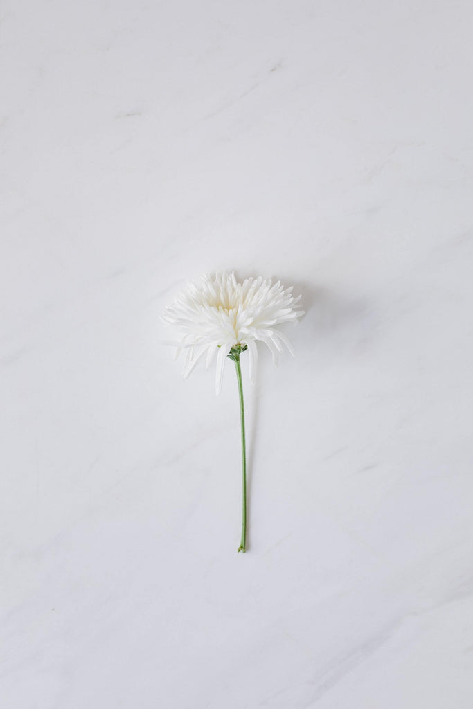 What are the best florists in or near Anaheim, California? 