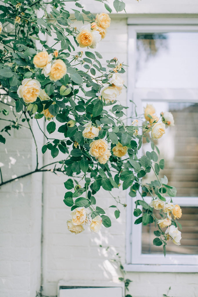 What are the best florists in or near Forest City, Florida? 