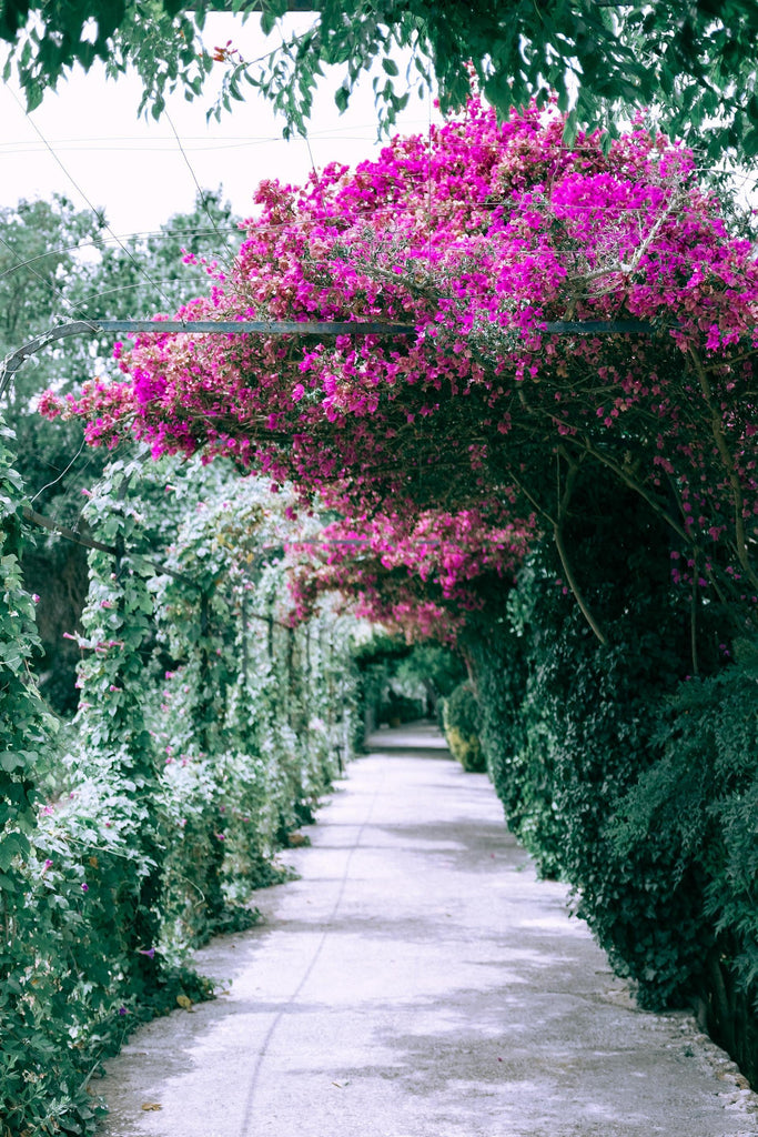 What are the best florists in or near Alpine, Tennessee? 