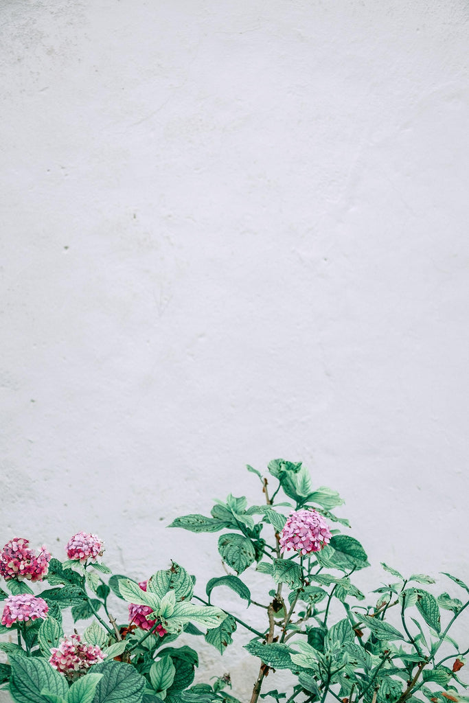 What are the best florists in or near Albion, Idaho? 