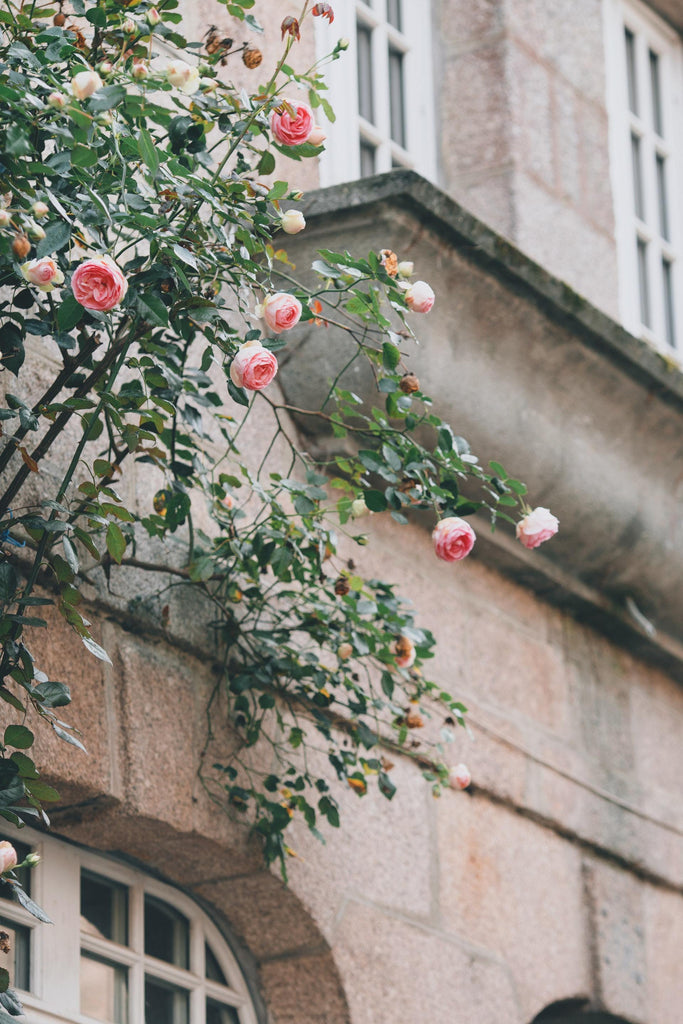 What are the best florists in or near Orrick, Missouri? 