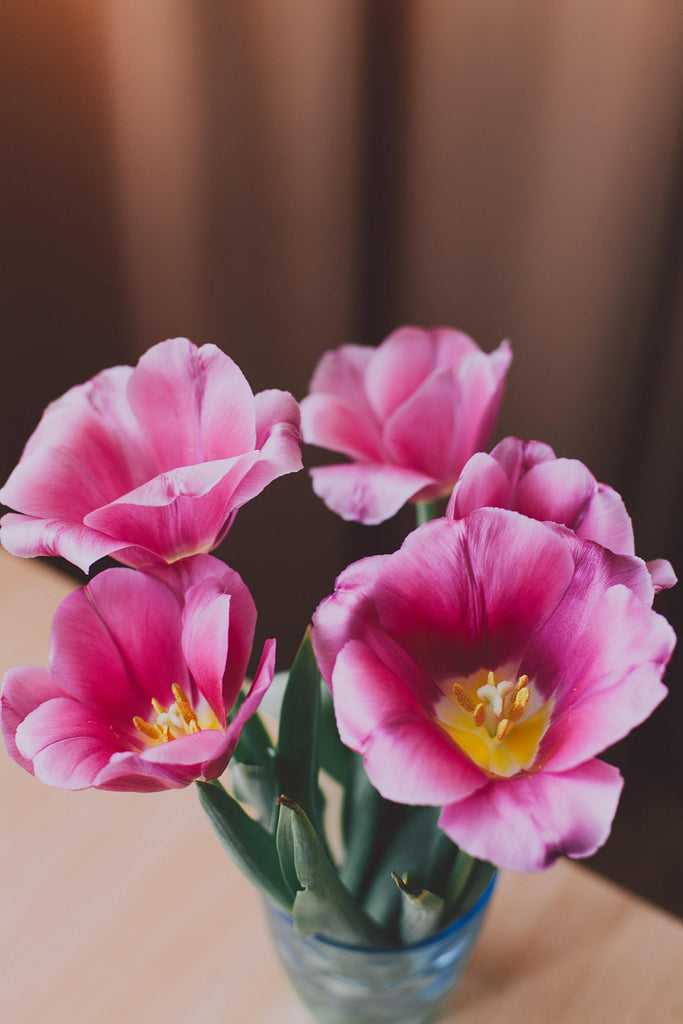 What are the best florists in or near Port Arthur, Texas? 