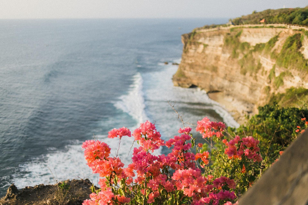 What are the best florists in or near Santee, California? 