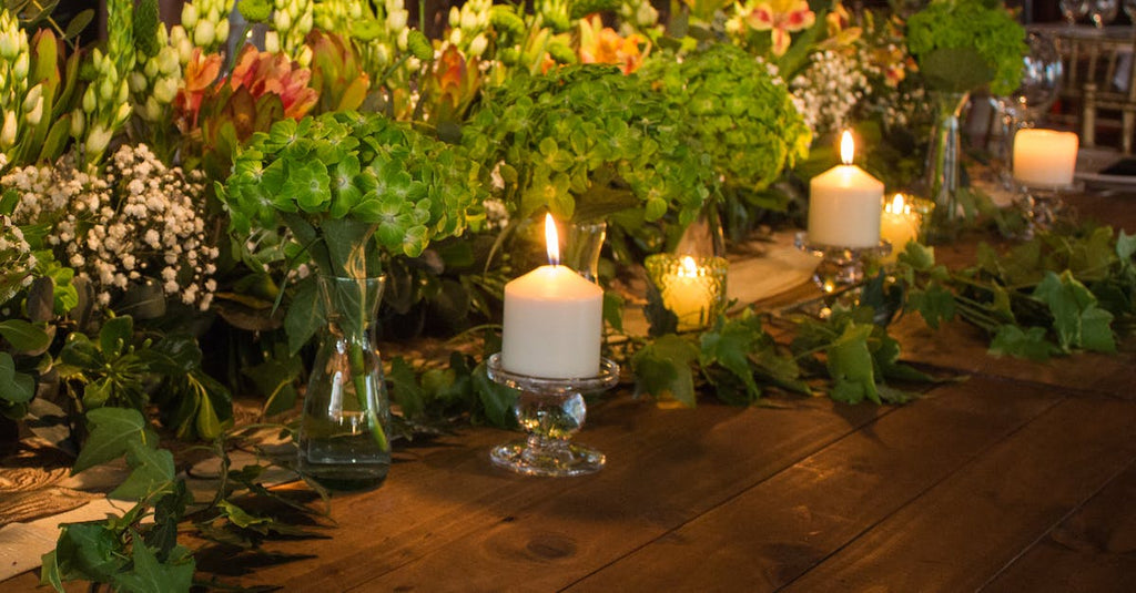 What Is The Perfect Plant?