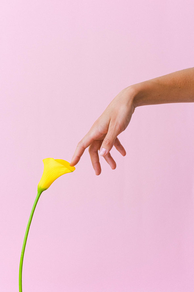 What are the best florists in or near Bellingham, Washington? 