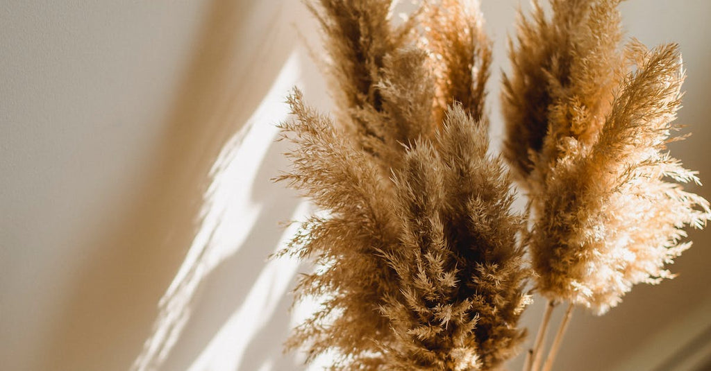 Which Plant Is Best For Beginners?