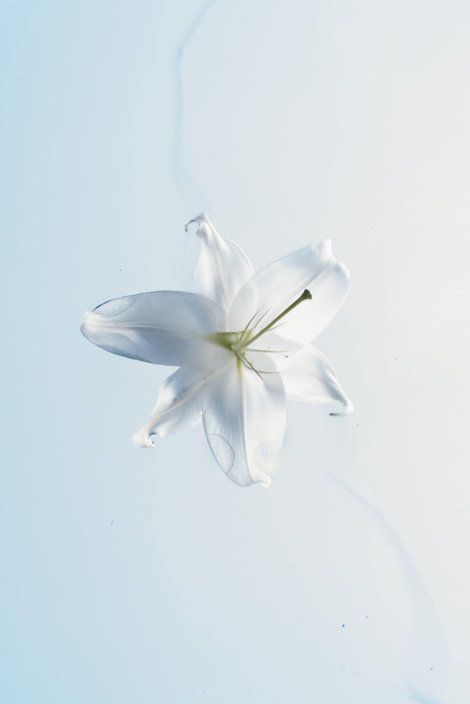 What are the best florists in or near Little Elm, Texas? 