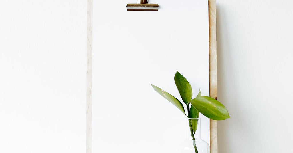 What Is The Easiest Plant To Maintain Indoors?