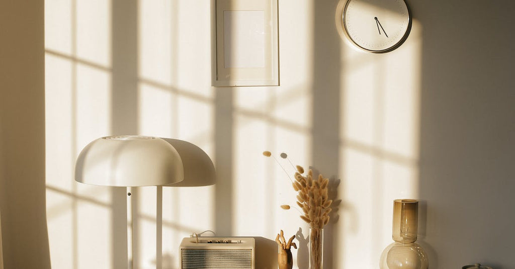 What Is The Best Small House Plant?