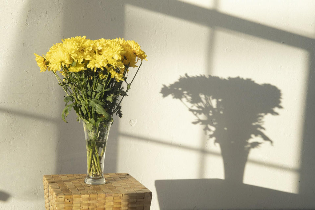 What are the best florists in or near Packwood, Iowa? 