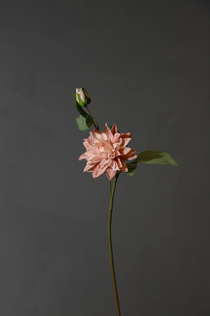 What are the best florists in or near Acme, Washington? 