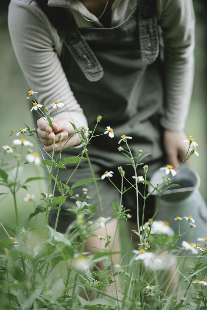 What are the best florists in or near London, Ohio? 