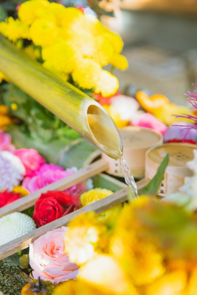 What are the best florists in or near Hanover, Maryland? 