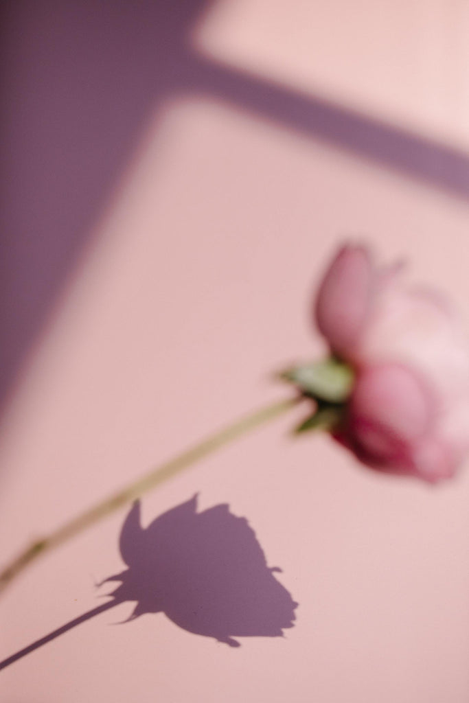 What are the best florists in or near Mount Vernon, New York? 