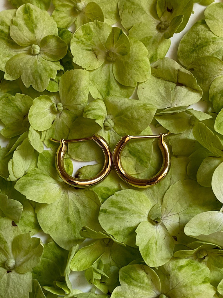 What are the best florists in or near Everett, Washington? 