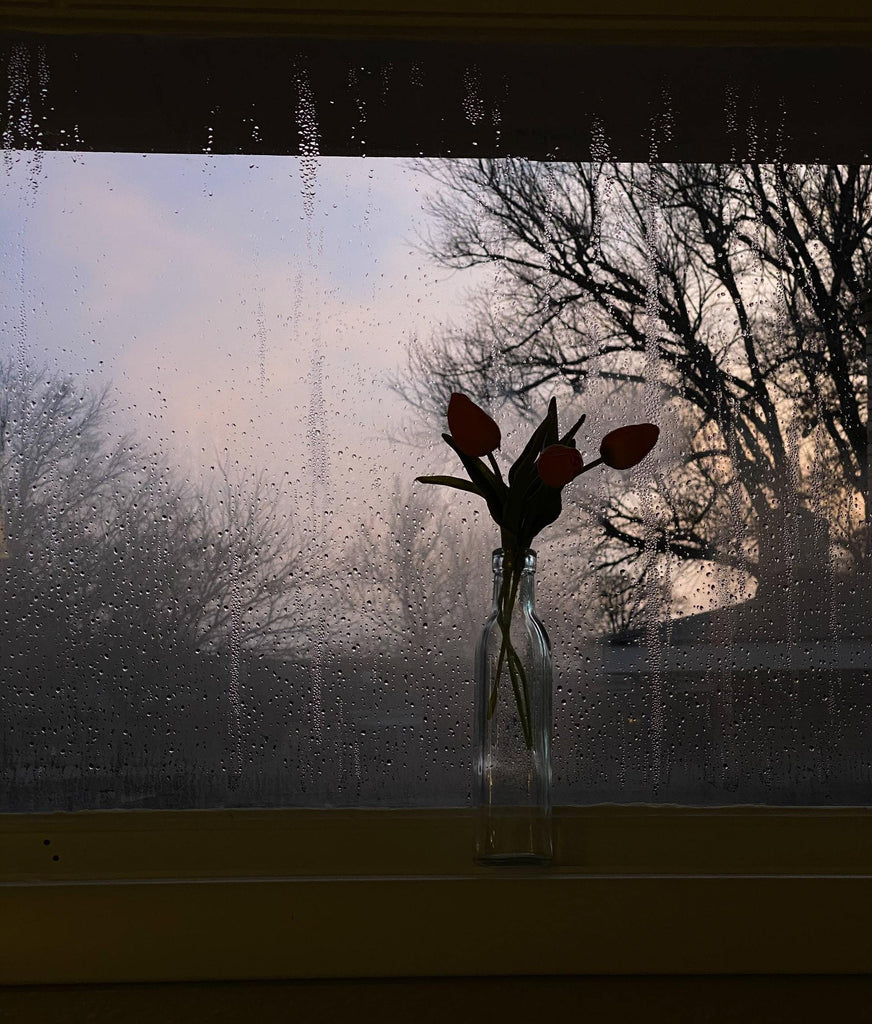 What are the best florists in or near Albion, Oklahoma? 