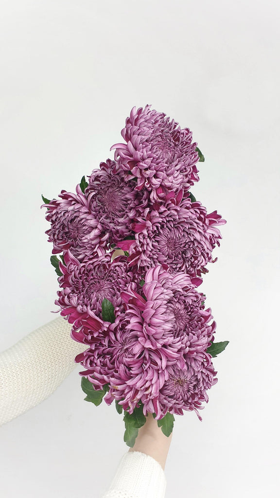 What are the best florists in or near Niagara Falls, New York? 