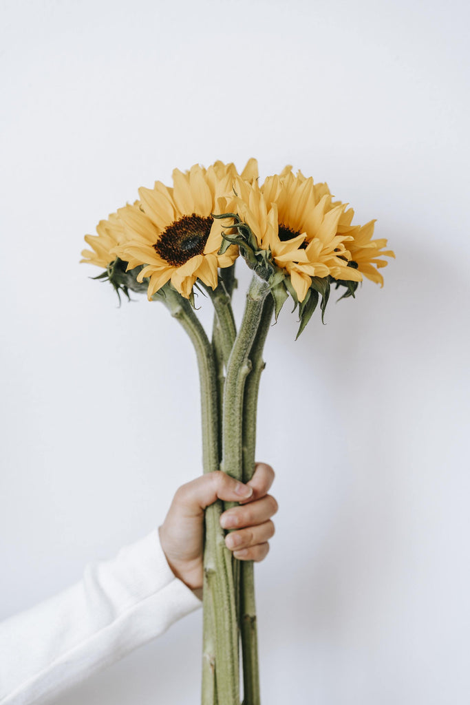 What are the best florists in or near Alcester, South Dakota? 