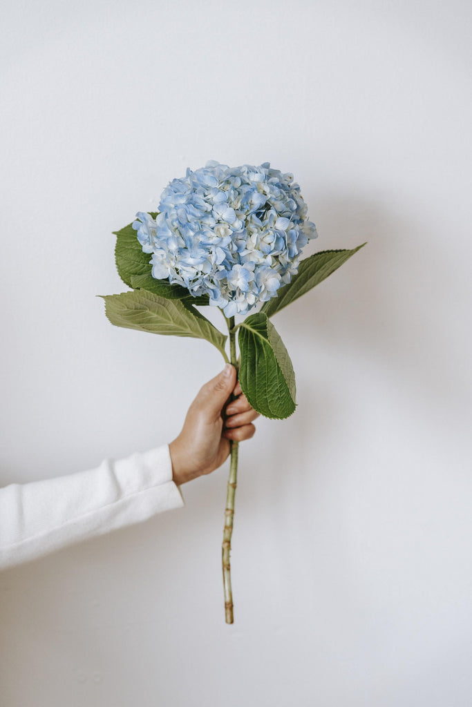 What are the best florists in or near Adak, Alaska? 