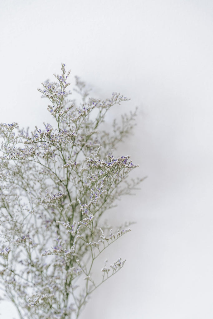 What are the best florists in or near Brimley, Michigan? 